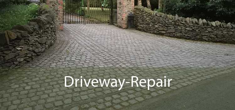 Driveway-Repair 